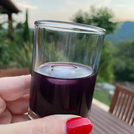Сasa de vacaciones 4* Piscine Chauffee *